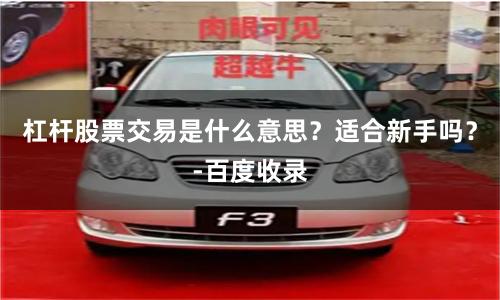 杠杆股票交易是什么意思？适合新手吗？-百度收录